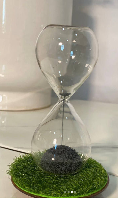 Glass Sand Timer with Moss Base Home Décor