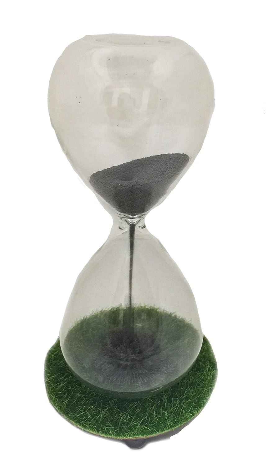 Glass Sand Timer with Moss Base Home Décor