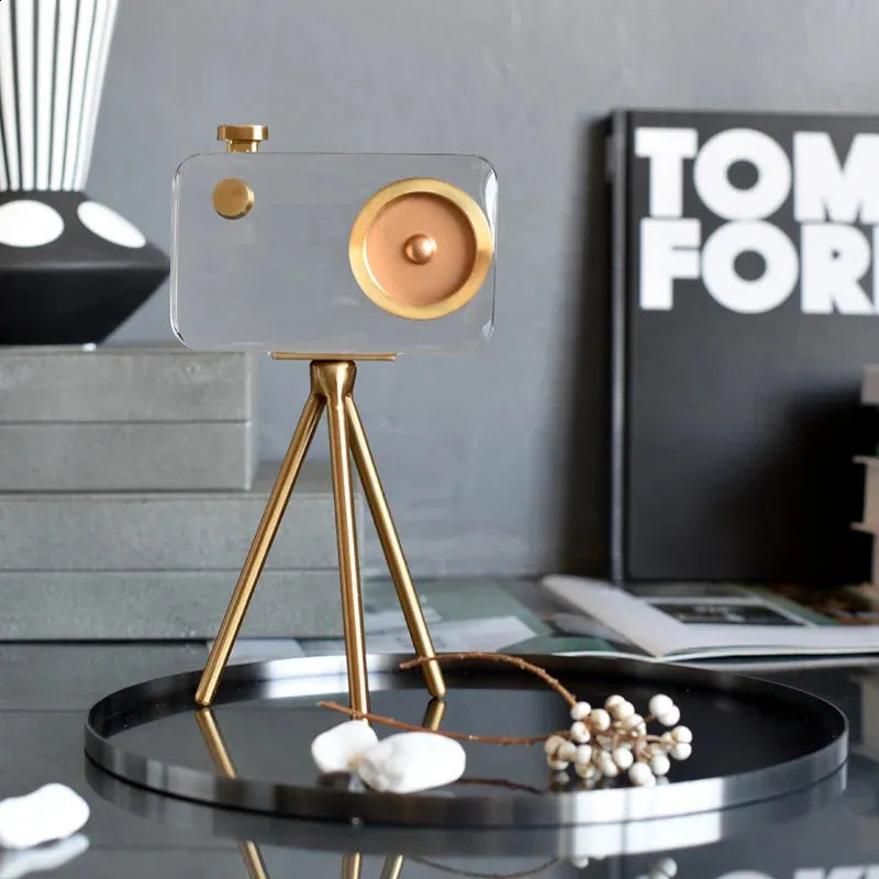 Designer Acrylic Shade Accent Light for Home Décor